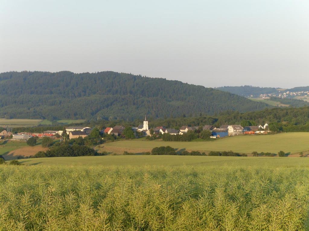 Haus Irmgard Villa Schlierschied Exteriör bild